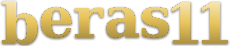 beras11 logo